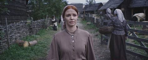 Unpacking the historical and cultural influences in 'The Witch' through a metafritic lens